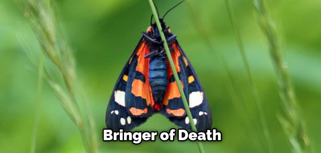  Bringer of Death