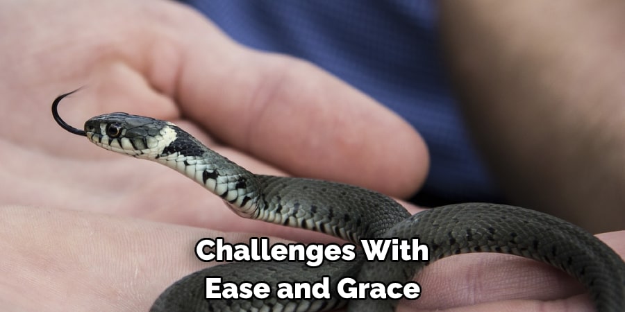 Challenges With Ease and Grace