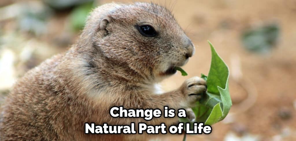 Change is a Natural Part of Life
