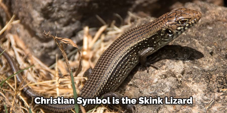 Christian Symbol is the Skink Lizard