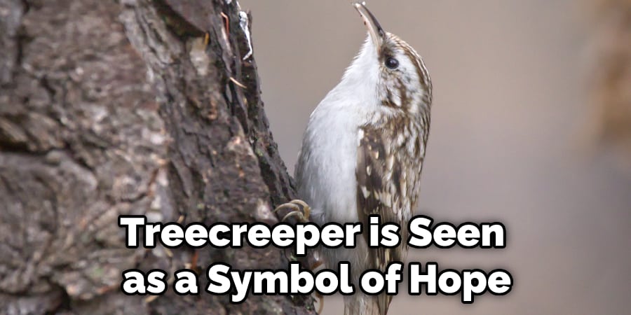 Treecreeper is Seen as a Symbol of Hope