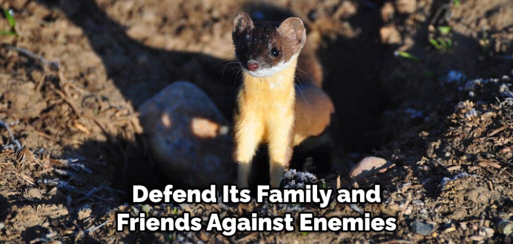 Defend Its Family and Friends Against Enemies