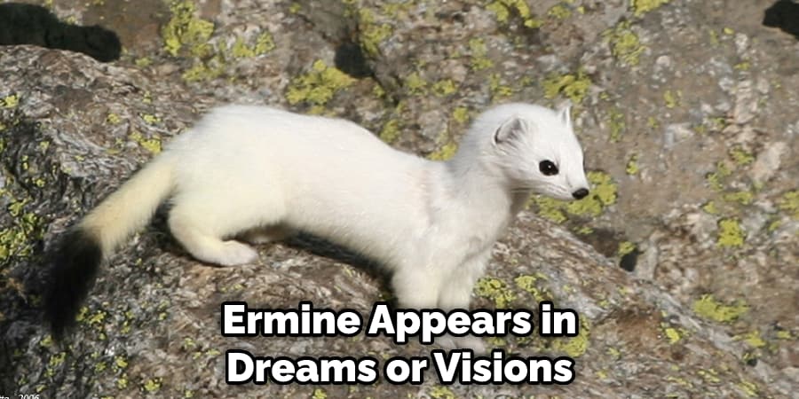 Ermine Appears in Dreams or Visions