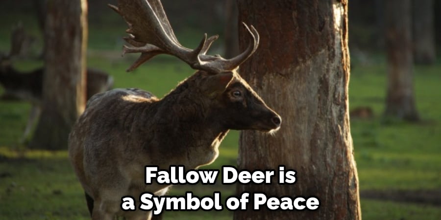 Fallow Deer is a Symbol of Peace