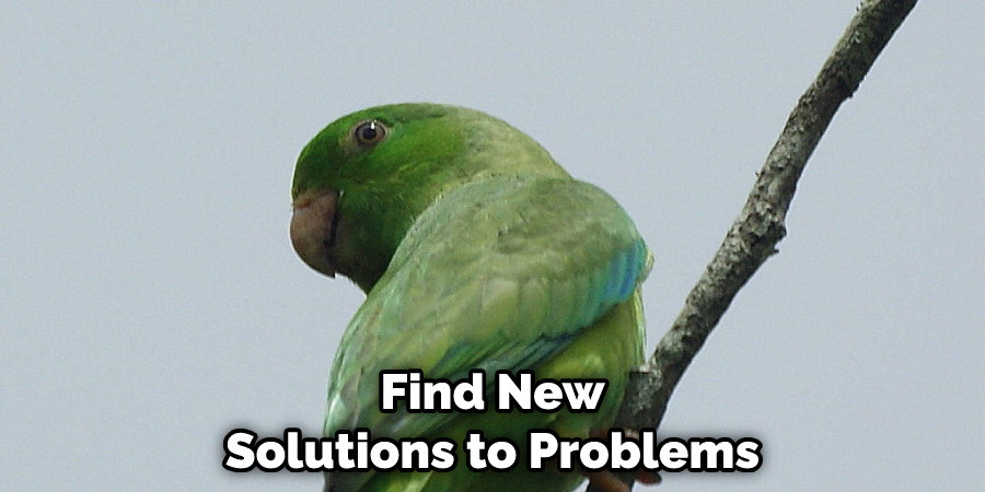 Find New Solutions to Problems
