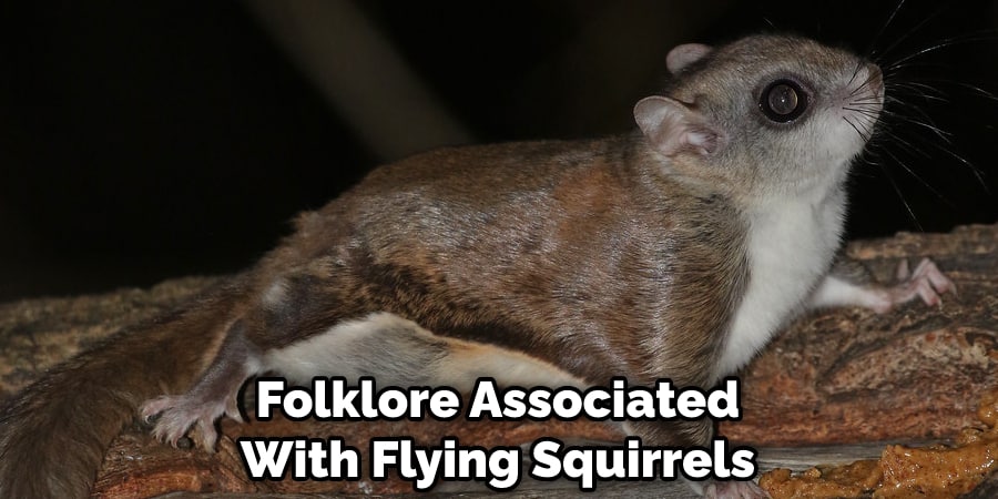 Folklore Associated With Flying Squirrels
