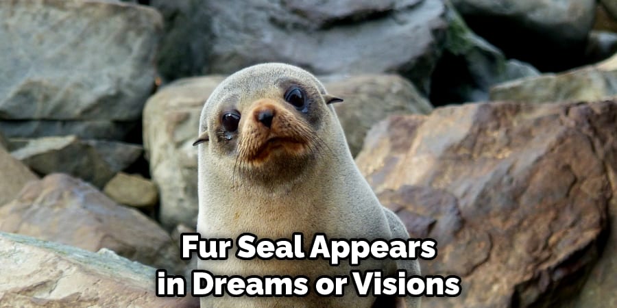 Fur Seal Appears in Dreams or Visions