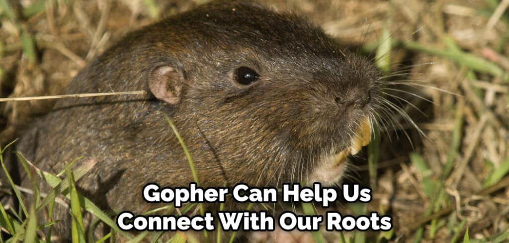  Gopher Can Help Us Connect With Our Roots