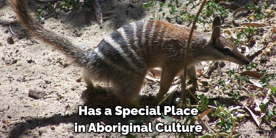 Has a Special Place in Aboriginal Culture