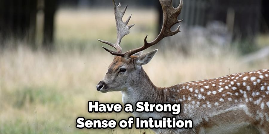 Have a Strong Sense of Intuition