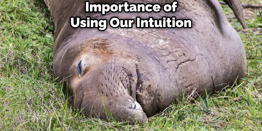 Importance of Using Our Intuition
