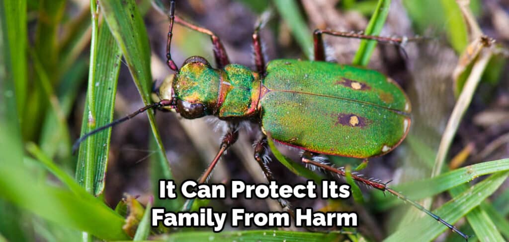 It Can Protect Its Family From Harm