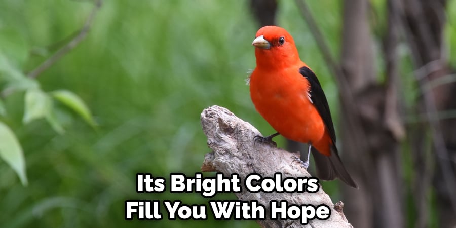 Its Bright Colors Fill You With Hope