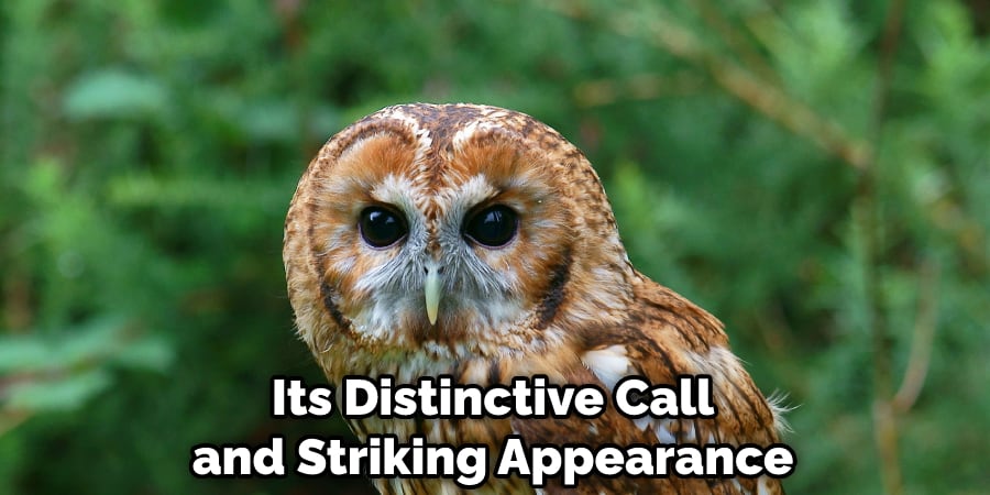 Its Distinctive Call and Striking Appearance