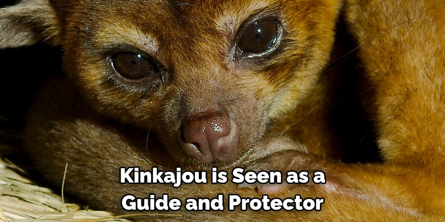 Kinkajou is Seen as a Guide and Protector