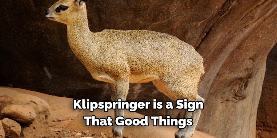 Klipspringer is a Sign That Good Things