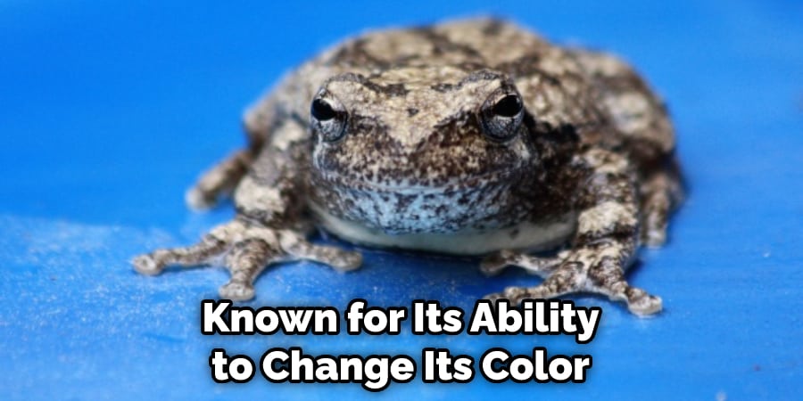 Known for Its Ability to Change Its Color