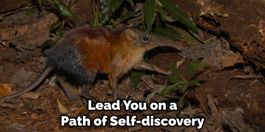 Lead You on a Path of Self-discovery