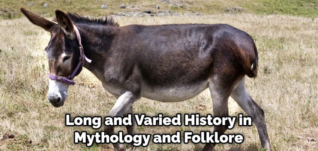 Long and Varied History in Mythology and Folklore