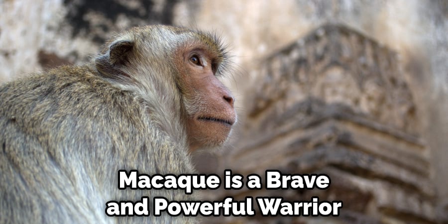 Macaque-is-a-Brave-and-Powerful-Warrior