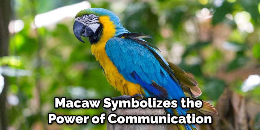 Macaw Symbolizes the Power of Communication
