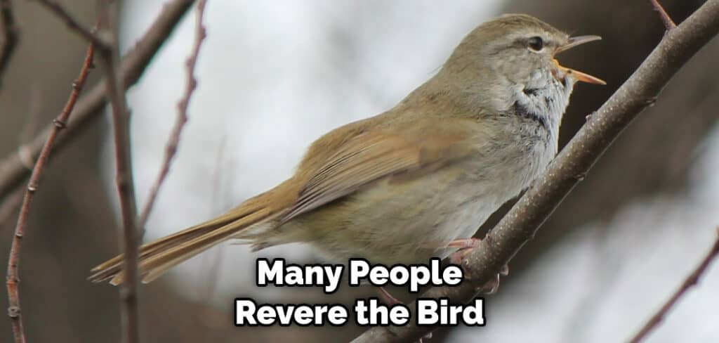 Many People Revere the Bird