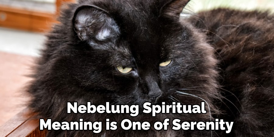 Nebelung Spiritual Meaning is One of Serenity