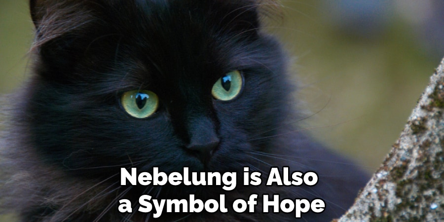 Nebelung is Also  a Symbol of Hope
