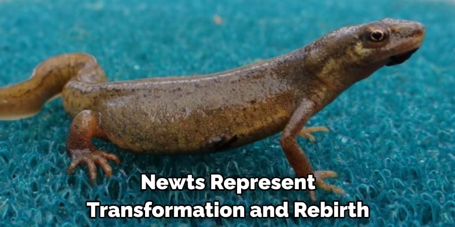 Newts Represent Transformation and Rebirth
