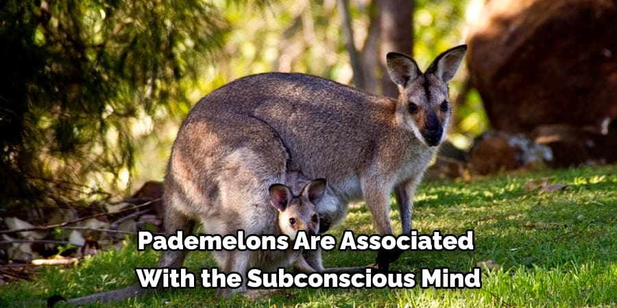 Pademelons Are Associated With the Subconscious Mind