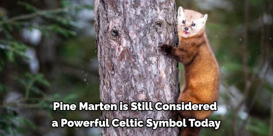 Pine Marten is Still Considered a Powerful Celtic Symbol Today