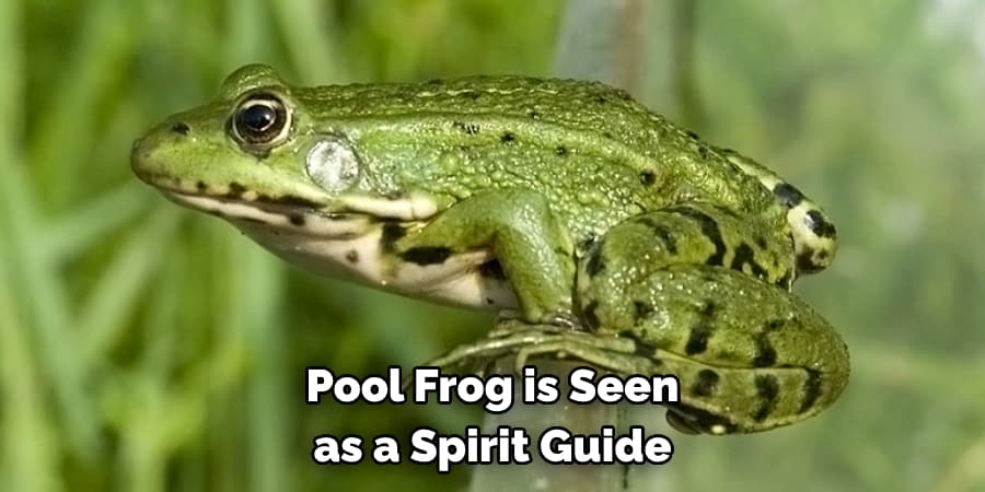 Pool Frog is Seen as a Spirit Guide