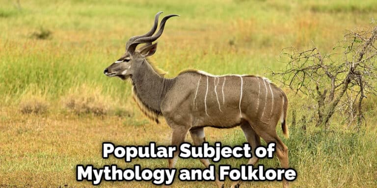 Kudu Spiritual Meaning, Symbolism and Totem | Instructions