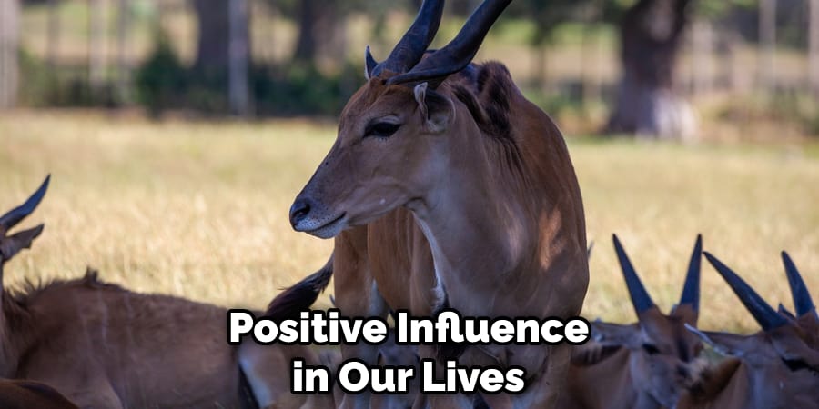 Positive Influence in Our Lives