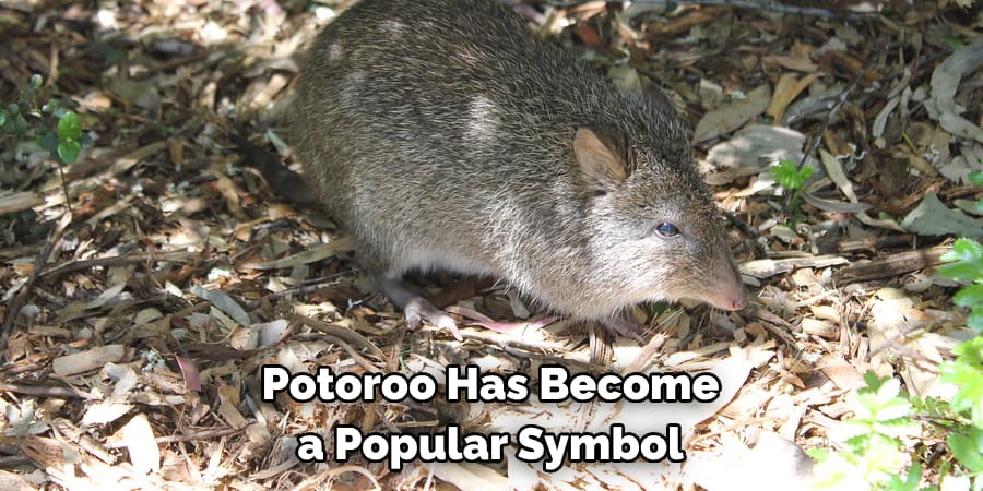 Potoroo Has Become a Popular Symbol