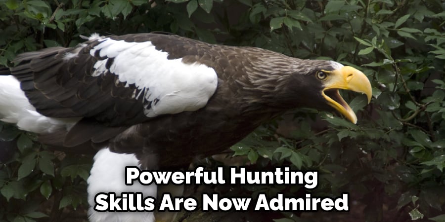 Powerful Hunting Skills Are Now Admired