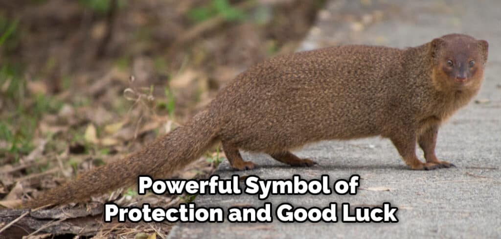 Powerful Symbol of Protection and Good Luck