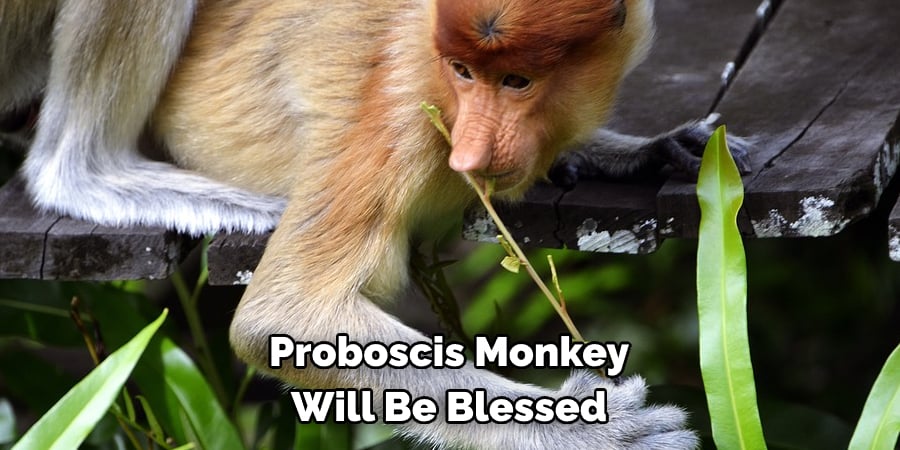 Proboscis Monkey Will Be Blessed