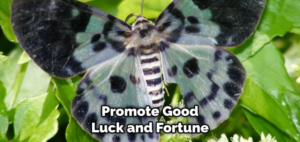 Promote Good Luck and Fortune