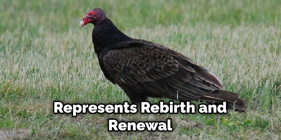  Represents Rebirth and Renewal