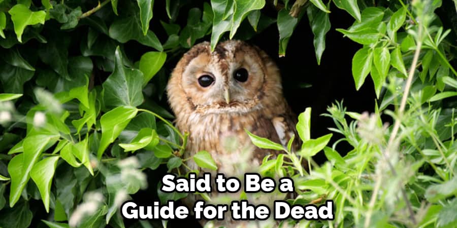 Said to Be a Guide for the Dead