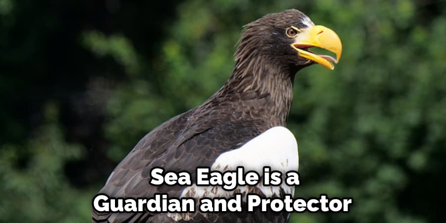  Sea Eagle is a Guardian and Protector
