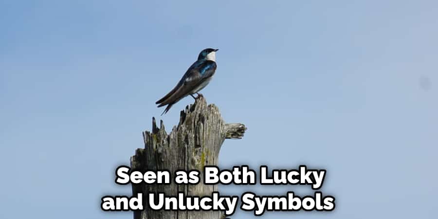  Seen as Both Lucky and Unlucky Symbols