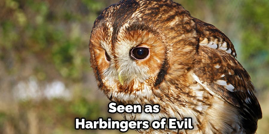 Seen as Harbingers of Evil