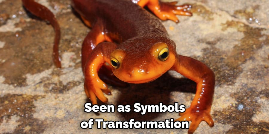 Seen as Symbols of Transformation