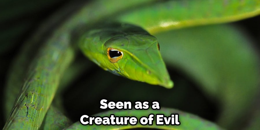 Seen as a Creature of Evil