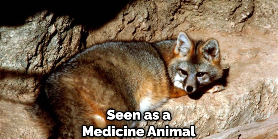 Seen as a Medicine Animal