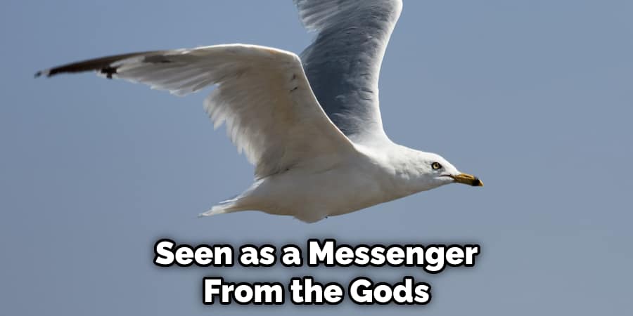 Seen as a Messenger From the Gods