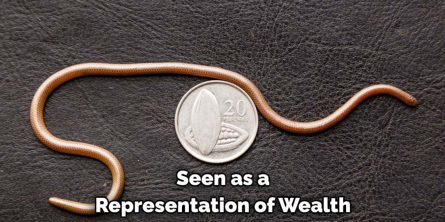 Seen as a Representation of Wealth