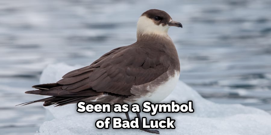 Seen as a Symbol of Bad Luck